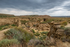 P1024752