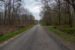 P1022851-Kopie
