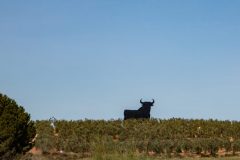 IMG_2788-scaled-e1682595742786