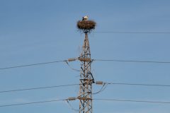 IMG_2792-scaled-e1682595729377