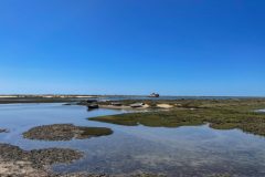 IMG_8760-scaled-e1682799852607