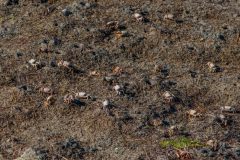 IMG_2825-scaled-e1682798855246