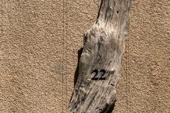 IMG_9085-scaled-e1681844715268
