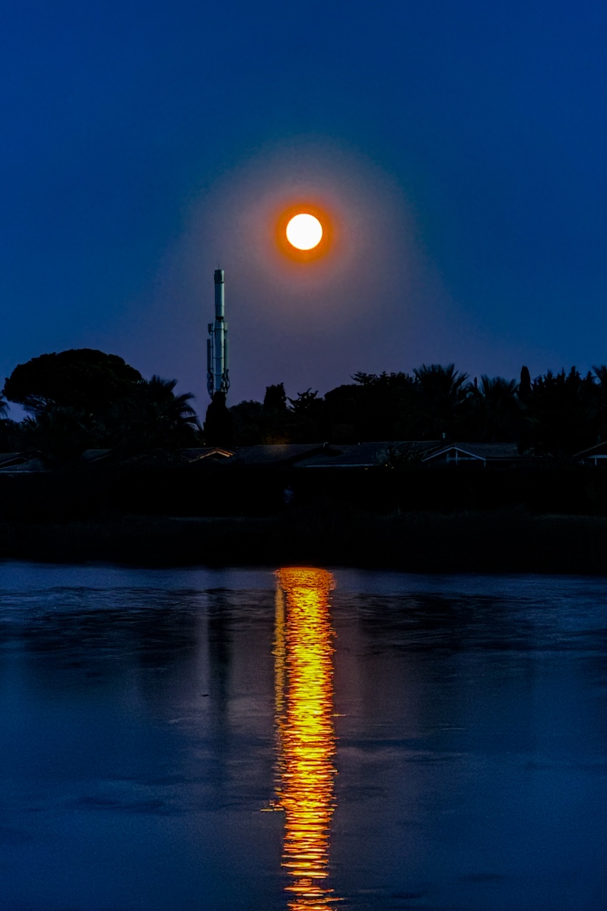 IMG_7269-2