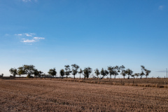 DJI_0528