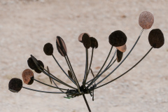 P1024930