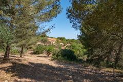 P1024882