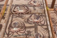 IMG_3612-scaled-e1684168479313