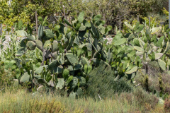 P1023403