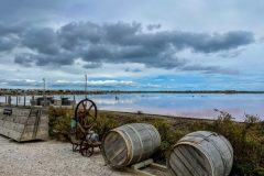 IMG_8304-scaled-e1669563797809